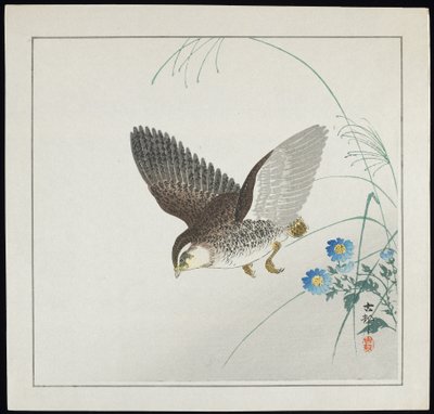 Quail in Flight, pre-1912 by Ohara Koson